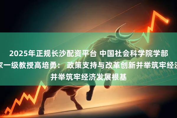 2025年正规长沙配资平台 中国社会科学院学部委员、国家一级教授高培勇： 政策支持与改革创新并举筑牢经济发展根基