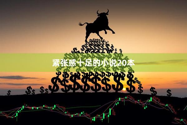紧张感十足的小说20本