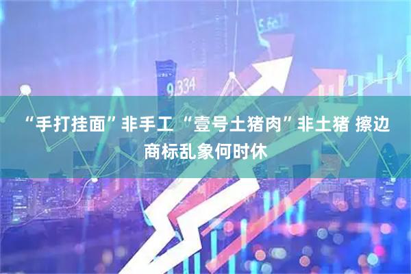 “手打挂面”非手工 “壹号土猪肉”非土猪 擦边商标乱象何时休