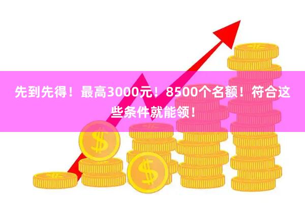 先到先得！最高3000元！8500个名额！符合这些条件就能领！
