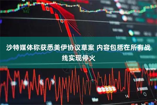 沙特媒体称获悉美伊协议草案 内容包括在所有战线实现停火